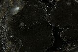 Septarian Dragon Egg Geode - Black Crystals #172814-2